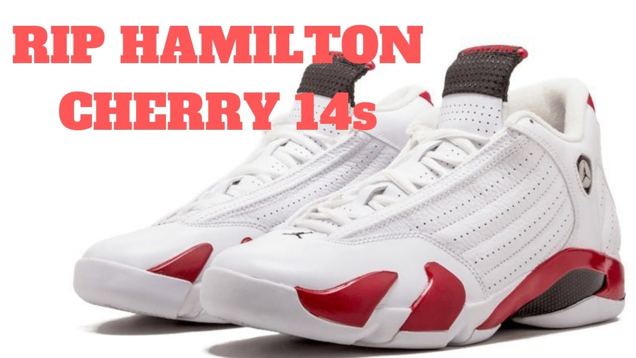 rip hamilton 14s