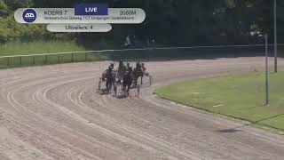Vidéo de la course PMU VERKEERSCHOOL BOLWEG TCT DRIEJARIGEN SATELLIETKOERS