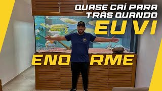 O AQUÁRIO DOS SONHOS! ELE TEM UM AQUÁRIO DE 4 000 LITROS COM PEIXES JUMBOS E AMAZÔNICOS GIGANTES!