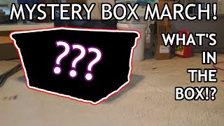 Mystery Box March Introduction!