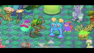 Scups Shrubb Duet Water Island Msm