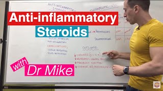 Anti-inflammatory Steroids