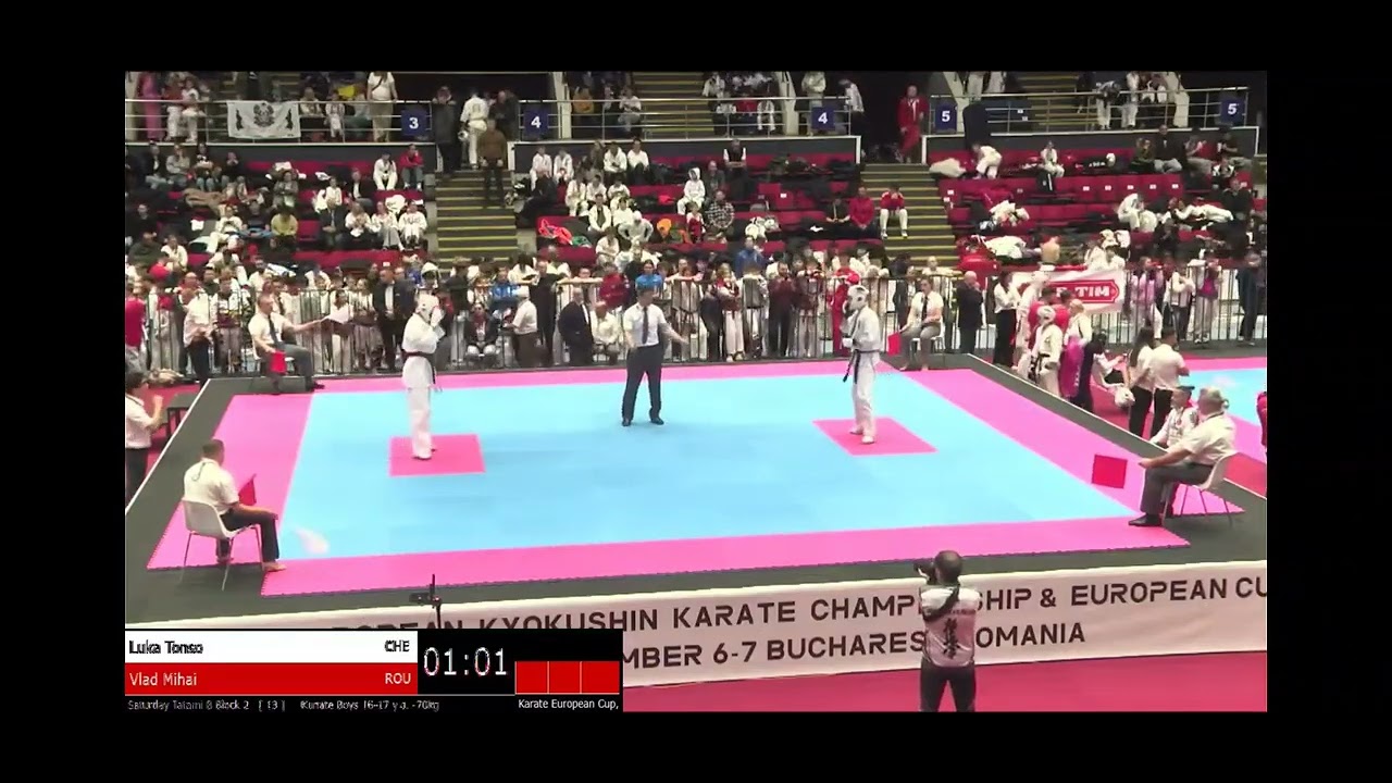 EUROPEAN CUP 2025 ROMANIA (junior Luka T. IKO Switzerland  VS Vlad M.  IKO Romania)