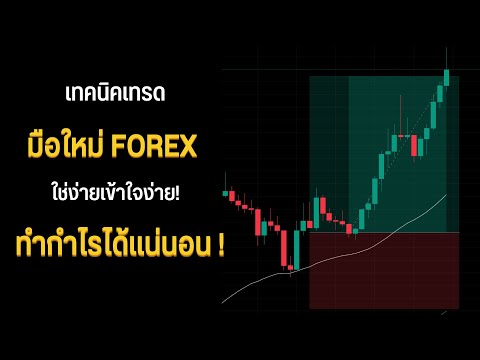 มือใหม่ Forex ทำกำไรได้แน่นอน! เทคนิคเทรดใช่ง่ายเข้าใจง่าย!