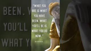 Buddha quotes meditation relax stressreliefmusic focusmusic trending