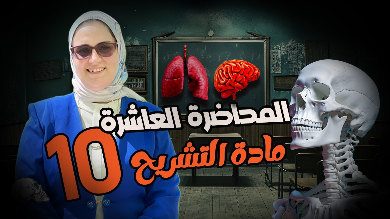 تشريح | الجهاز التناسلي الذكري والأنثوي  |  Male and Female Reproductive System