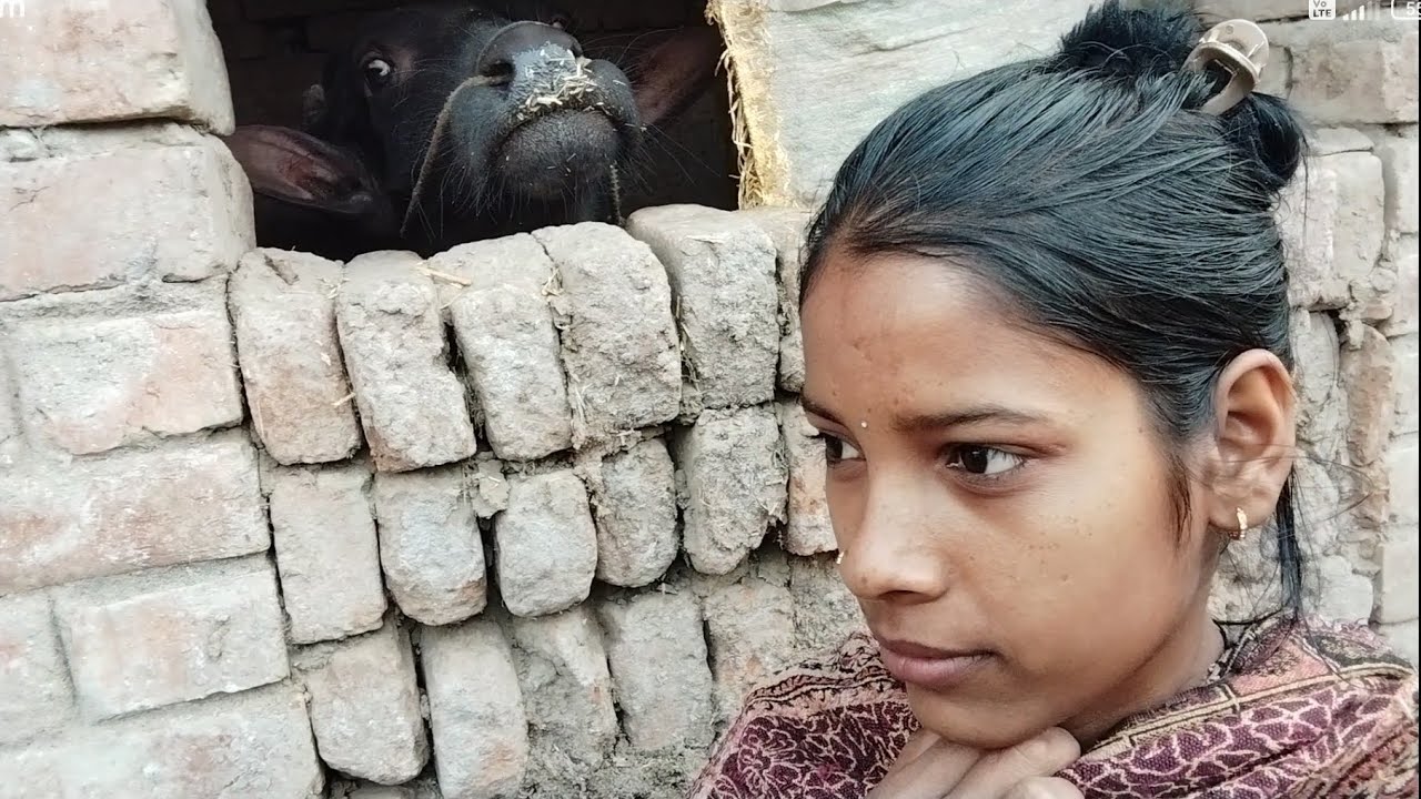 देखिये दोस्तों ये क्या है ये 😘🥰😍🥰😘😘😘🥰😍😌😜😛😘😌😍😝😝🥰😍