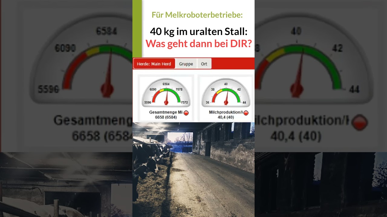 Mit Melkroboter 40 kg im uralten Stall? Was geht dann bei DIR? #5 