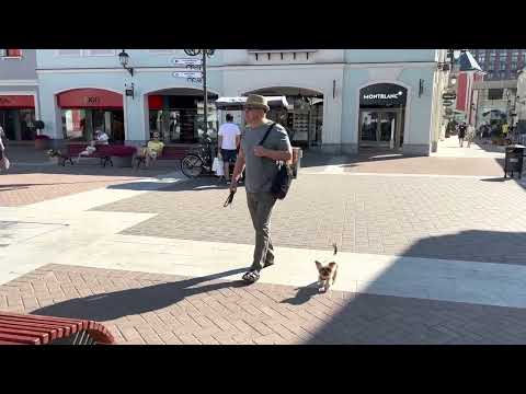 Outlet Village Belaya Dacha/Глобус любимый гипермаркет/вкусные сосиски/Белая дача Аутлет