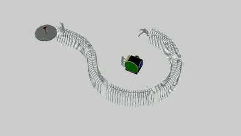 The Tunnel of Questionable Enlightenment