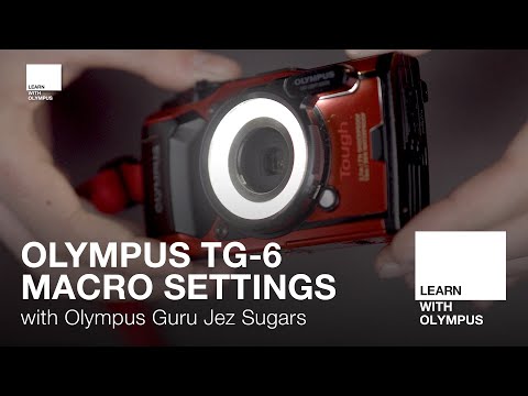 Olympus TG-6 Macro Settings with Jez Sugars