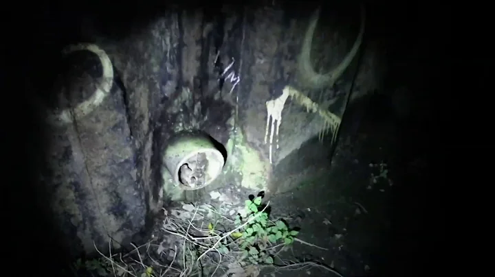 Rediscovering The Varsity Railway Line ( Willington Station)