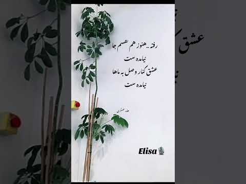 رفته هنوز هم نفسم جا نیامده ست شاعر حامد عسکری با صدای 