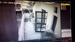 Fadas Reais - Capturadas Em Vídeo 09