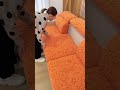 IKEA Sofa Cover Non Slip Dustproof Full Coverage Protection #shortsfeed