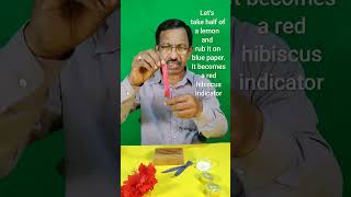 How to Make Natural Acid, Base Indicators #science #shortvideos