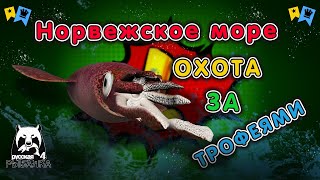 ◦ МОРЕ ◦ Охота за трофеями! ◦ level ◦ Русская рыбалка 4 ◦🎣👍🐬