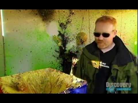 Download Mythbusters Paint Bomb