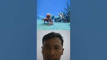 Octopus Regeneration Is Seriously Wild @zackdfilms