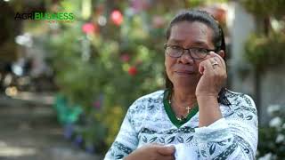 They threw her out. Years after, she bought their land. From Poor Farmer to Watermelon Millionaire