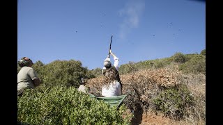 La Nava, the finest partridge shooting in Spain