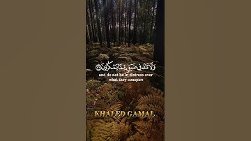{وَاصْبِرْ وَمَا صَبْرُكَ إِلَّا بِاللَّهِ ۚ وَلَا تَحْزَنْ عَلَيْهِمْ} سورة النحل 127 -128