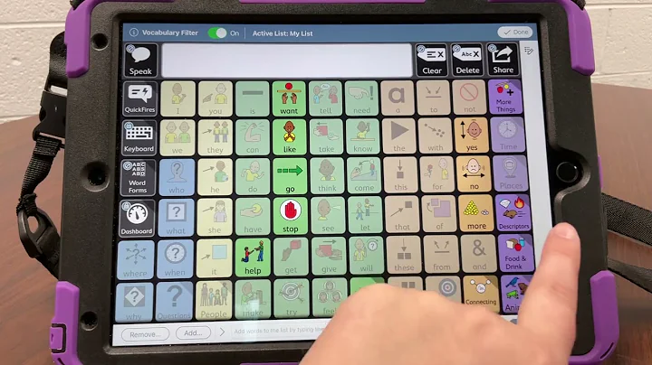 Using Vocab Filter - TD Snap Motor Plan