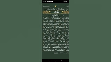 سورة التكوير القاريء حكيم الحجري