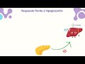 "Hipoglucemia recurrente, a propósito de un caso"