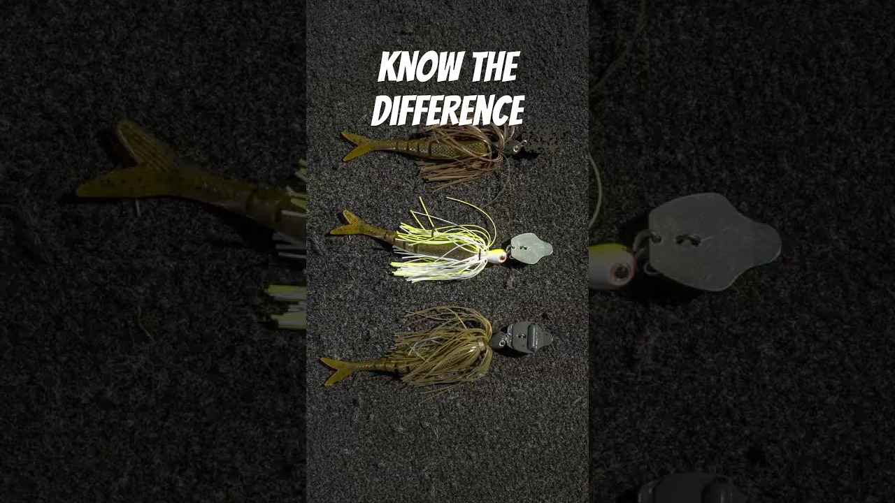 Menendez Choosing the Right Thunder Cricket for Spring
