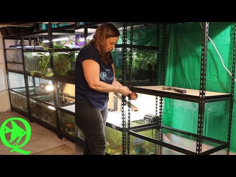 40 Gallon Breeder Tank Stand