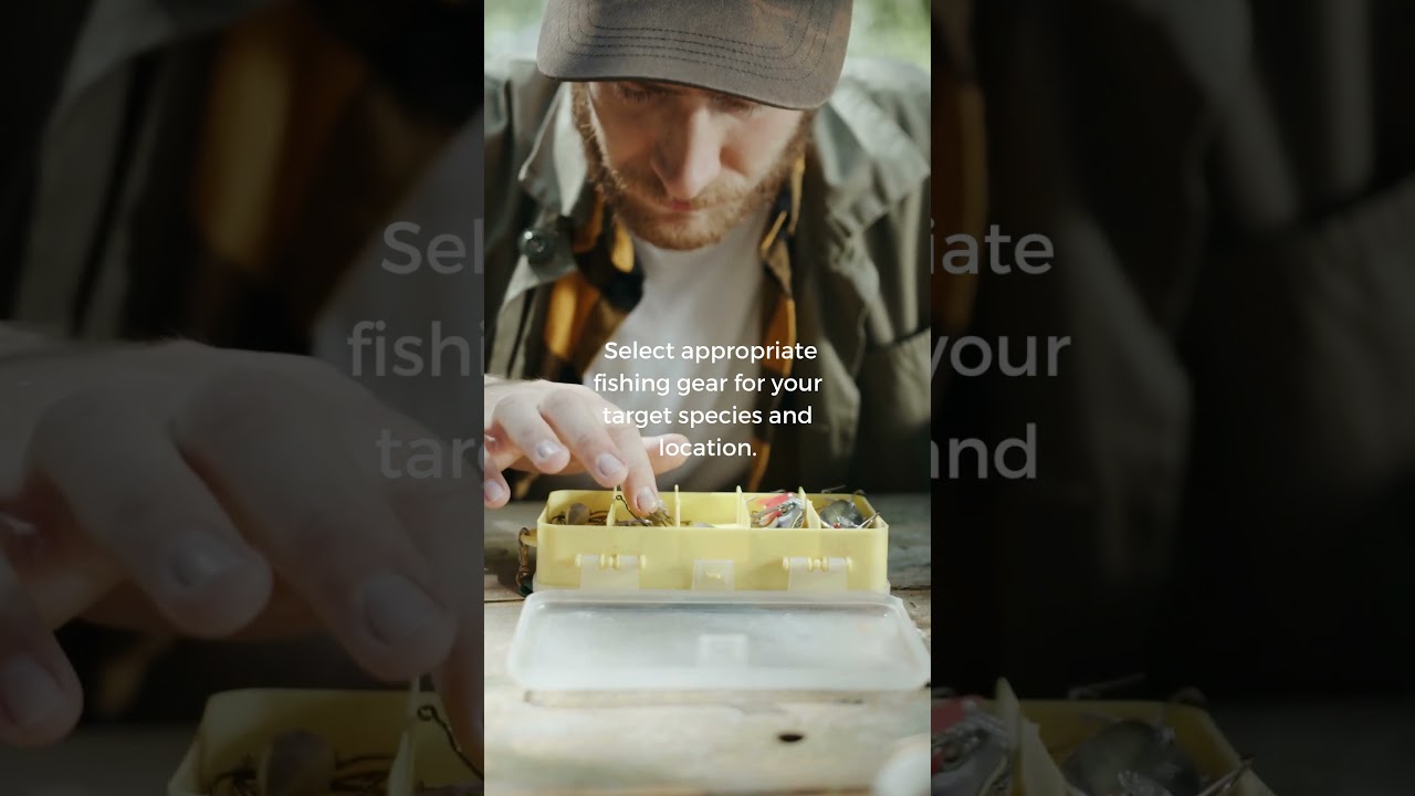 Pro Tips for Fishing Success: 5 Essentials Before You Cast! 