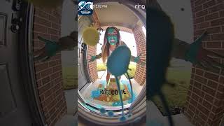 The Porch Had a Plan (Caught on Ring Camera)