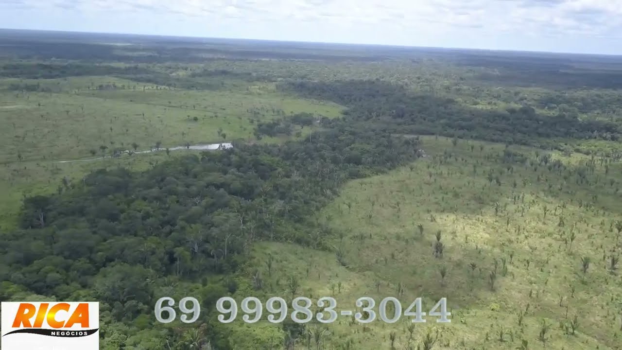 VENDE-SE EXCELENTE FAZENDA – OPORTUNIDADE ÚNICA! COM 210 HECTARES DE PASTO -  A 60 KM DE PVH - RO