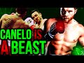 3 reasons why CANELO ALVAREZ is WAAAYYY BETTER than YOU think he is!