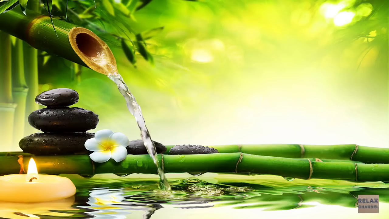12 Hours Sleep Music Healing Zen Relaxation Meditation Spa Study ...