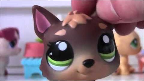 Littlest Pet Shop Version: Take a Hint