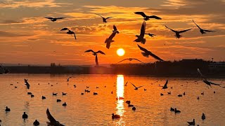 Kendimi Zor Tutuyorum/Kenan Güçlütürk 