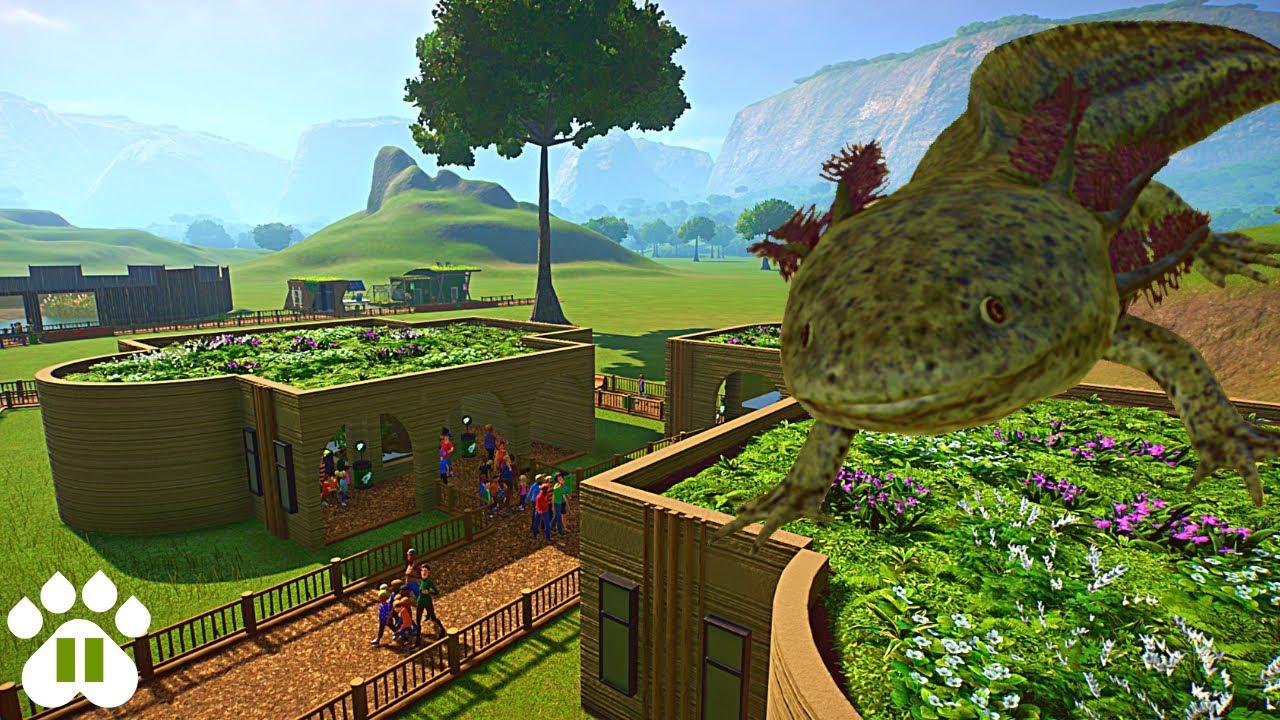 Finishing our Sustainable Exhibits with Axolotls! EcoZoo