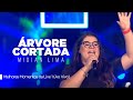 Midian Lima - Árvore Cortada | Melhores Momentos da Live 1 (Ao Vivo)