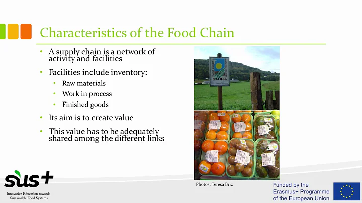 From Farm to Fork – Food Value Chain Analysis