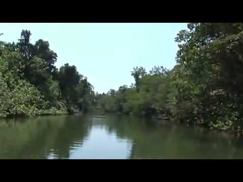 Cape Tribulation & Daintree Rainforest - Australia Vacations & Tours