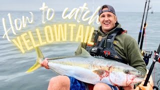 How to catch California yellowtail? (Lures and Line)