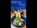 手打ちうどん さいとう(京都府立大学前) - 京都グルメ紹介 #04