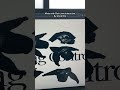 Another site made with Plain Jane Interactive by a member of our Discord