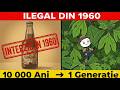 Acest copac era în fiecare bucătărie americană, până când DEA l-a făcut să dispară pentru totdeauna!