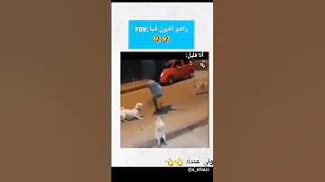 كونغ فو باندا كونغ فو كلاب 