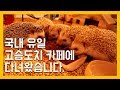 국내 유일 고슴도치 카페 '치치'에 가보았습니다. [냥이아빠]