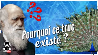 Évolution des espèces ! Le Paon prouve que Darwin avait tort !! 🦚