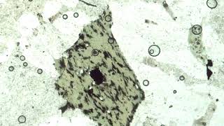Chlorite, Plane Polars
